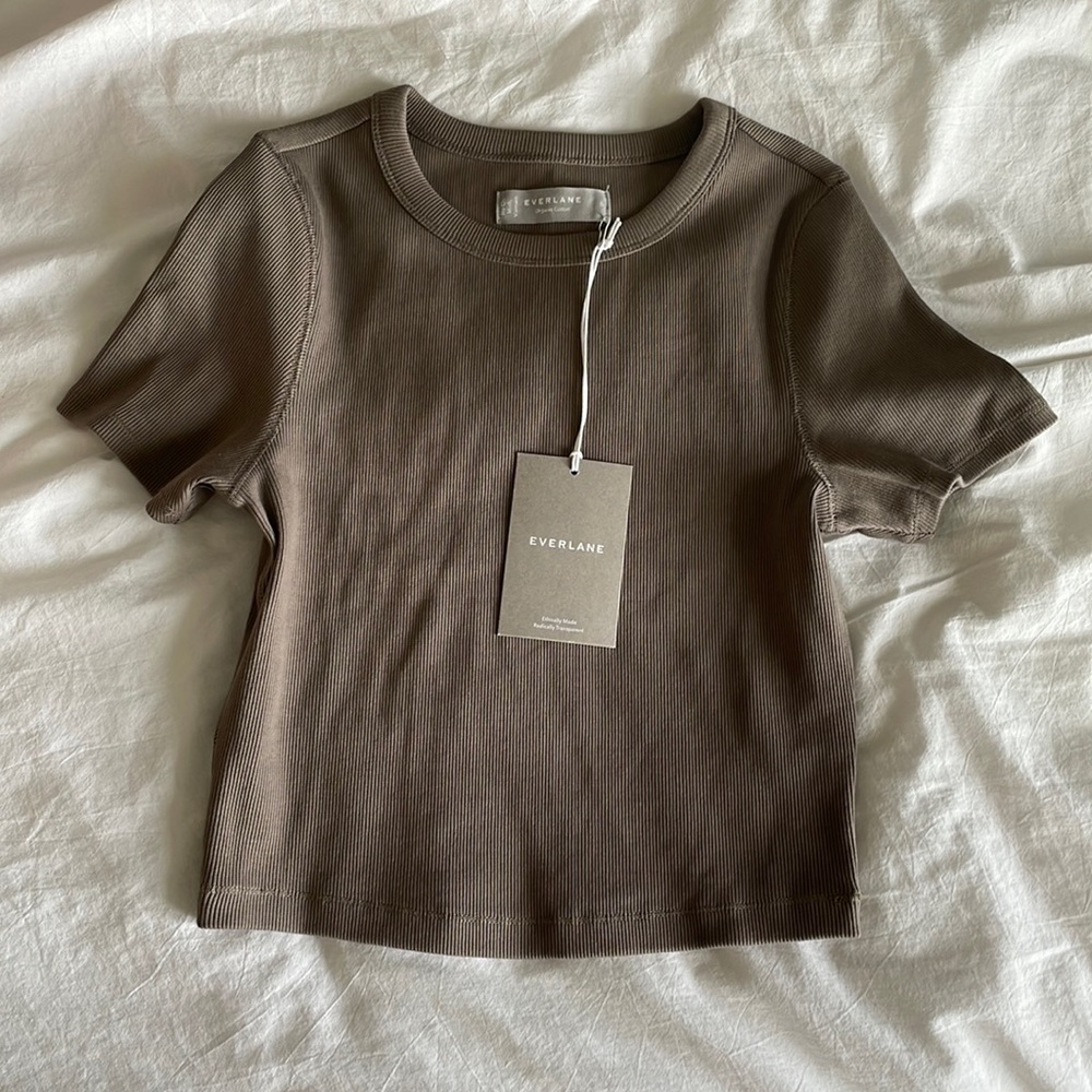 Everlane Ribbed Crop Tee